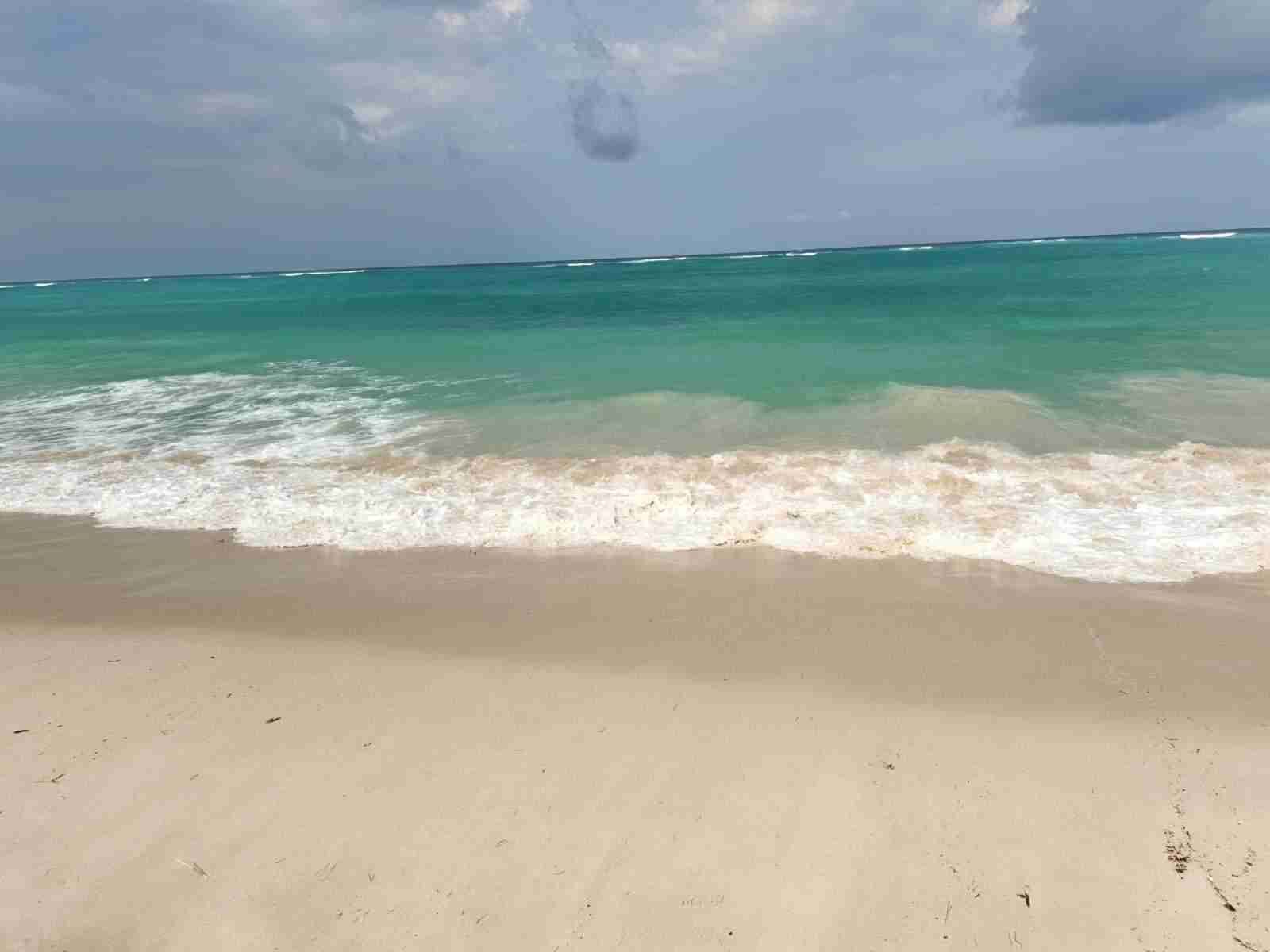 Turquoise Waves of Diani